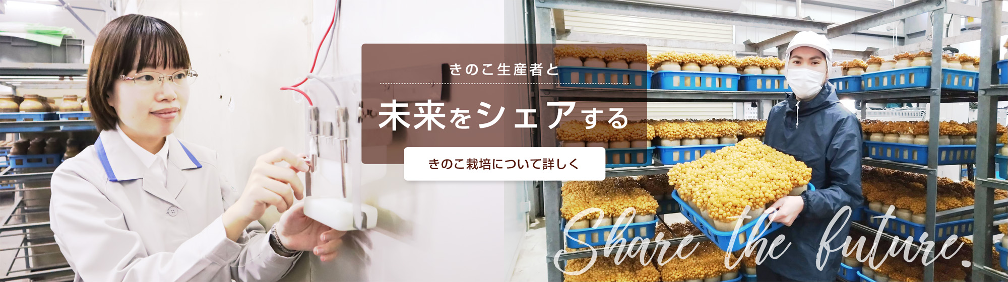 きのこ栽培の方と未来をシェアするきのこ栽培について詳しく