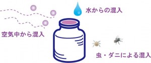 酵素クラスター1_2