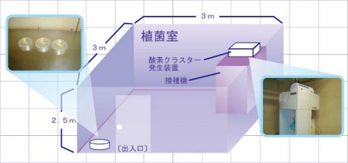 酵素クラスター1_4