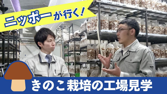 きのこ生産者に栽培の工程を教えてもらおう！