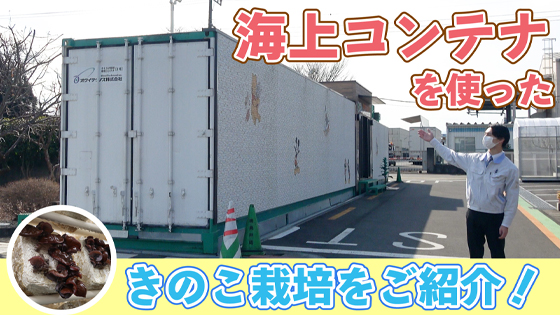 コンテナ内できのこが栽培できる！？きくらげの栽培現場をご紹介