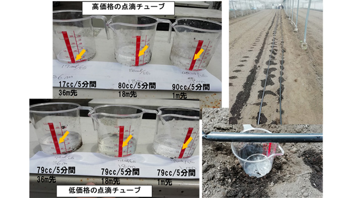 点滴潅水チューブと選び方と肥料吸収が良くなる水質確認の方法 - ニッポー