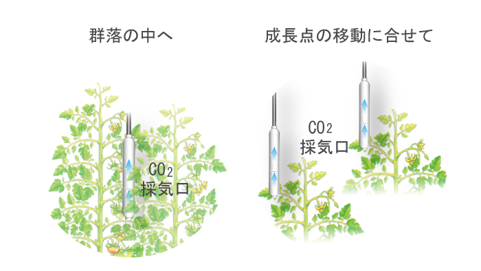 eyefarmb_tokucho2.jpg