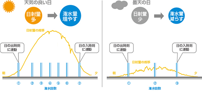 潅水ナビ　日射比例潅水とは